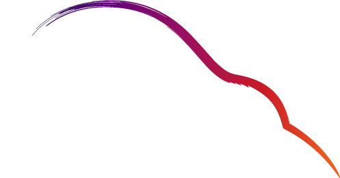 Save the Kiwi